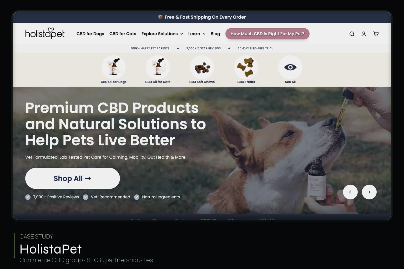 Cheef Botanicals / HolistaPet group — Commerce CBD partnership-sites SEO case study