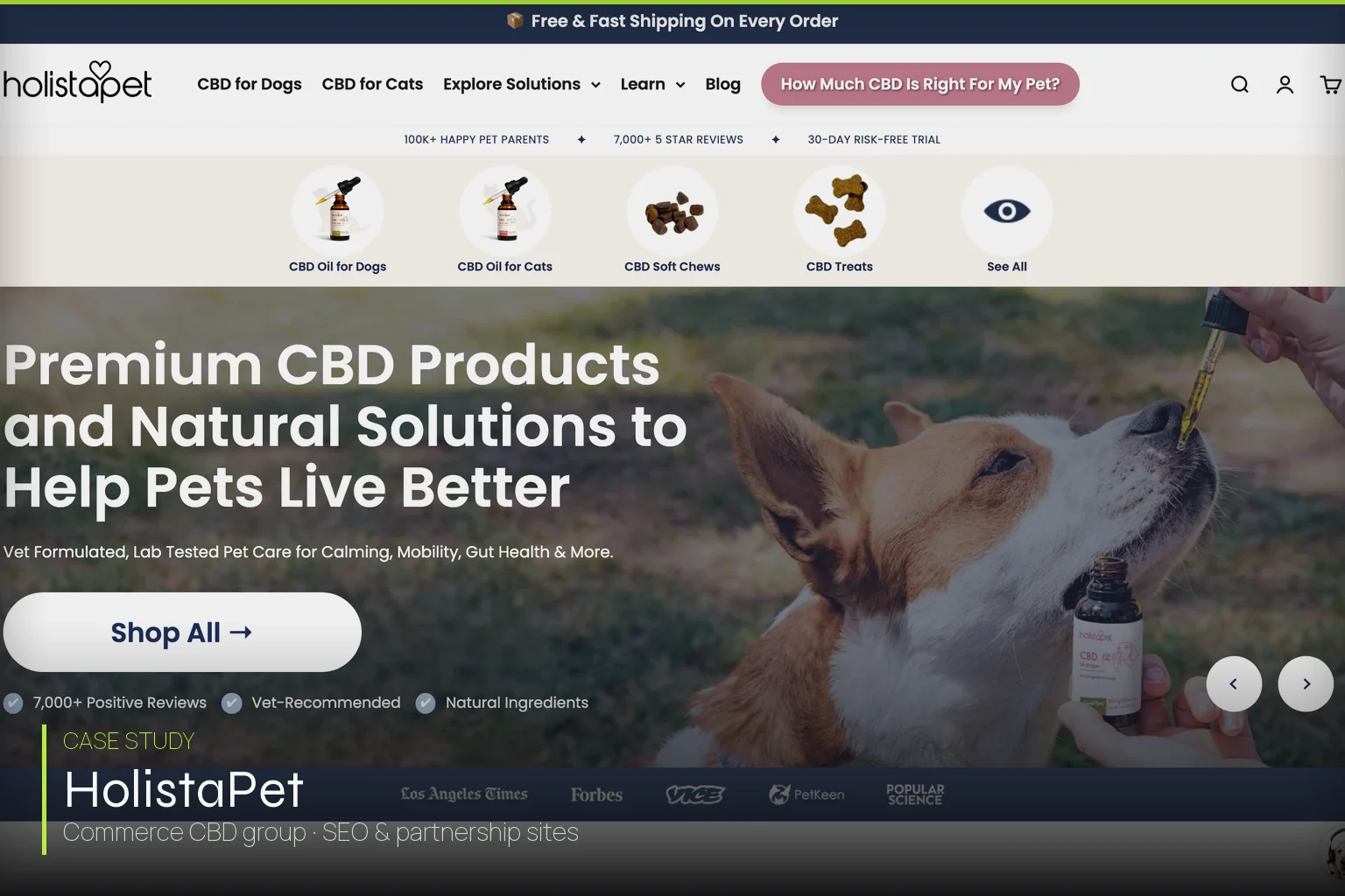 Cheef Botanicals / HolistaPet group — Commerce CBD partnership-sites SEO case study