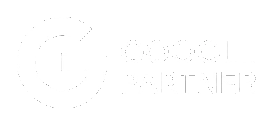 Google Partner logo